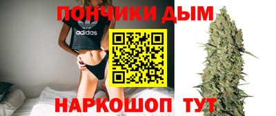 apvp Заводоуковск
