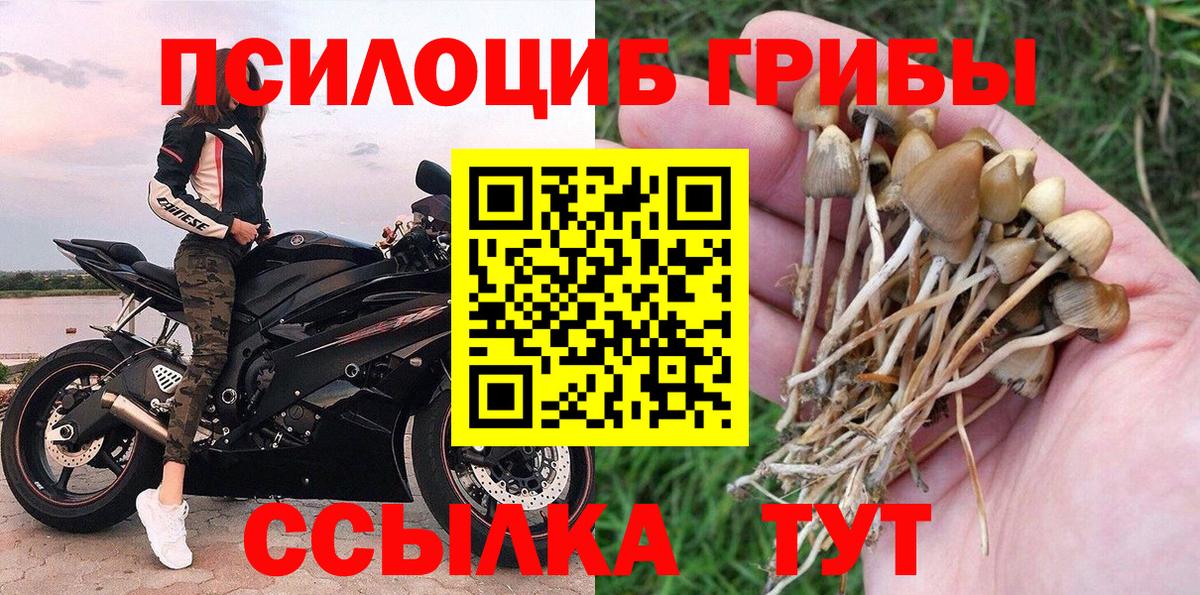 Псилоцибиновые грибы Psilocybine cubensis  где найти   Галлюциногенные грибы MAGIC MUSHROOMS  Керчь  Вход с VPN 