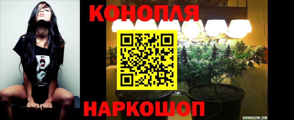 Каннабис Amnesia Керчь